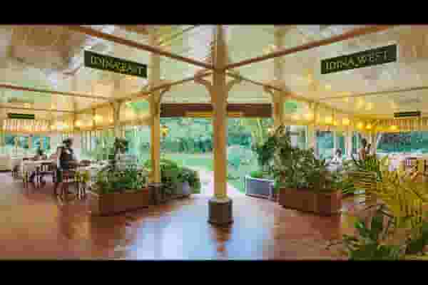The Conservatory