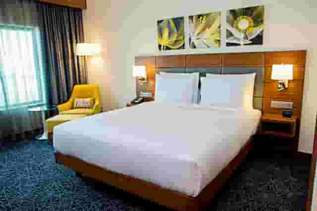 Garden Suite 1
