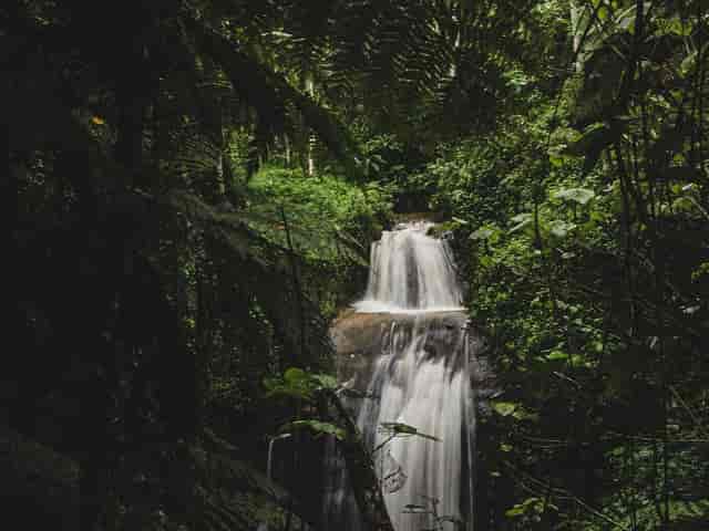 The Forest Adventure Centre - All You ...