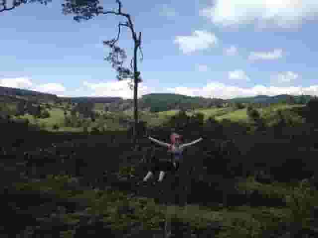 The Flying Elephant