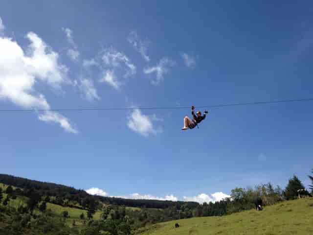 Flying Elephant zip line at The Forest Adventure Centre, ideal for team-building events.
