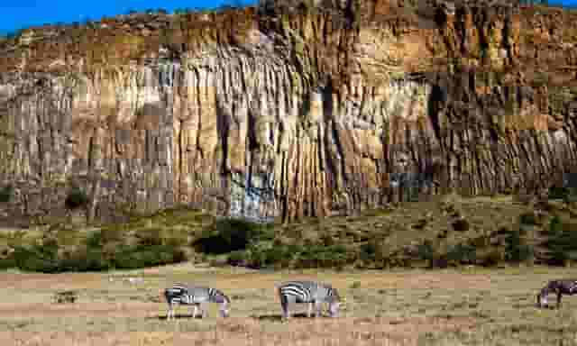 Camping Grounds