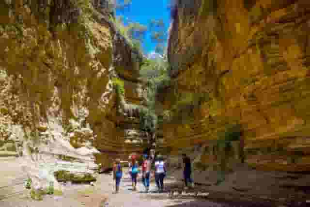 Special Campsites