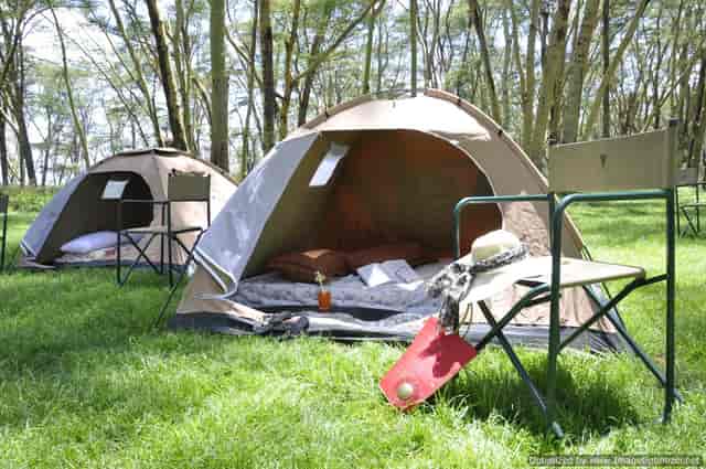 Cozy glamping tents in Lake Nakuru National Park for team-building retreats.