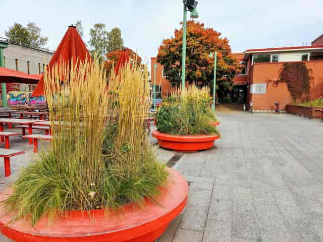 Vibrant outdoor event space in Balcony Gallery with red seating for gatherings and workshops
