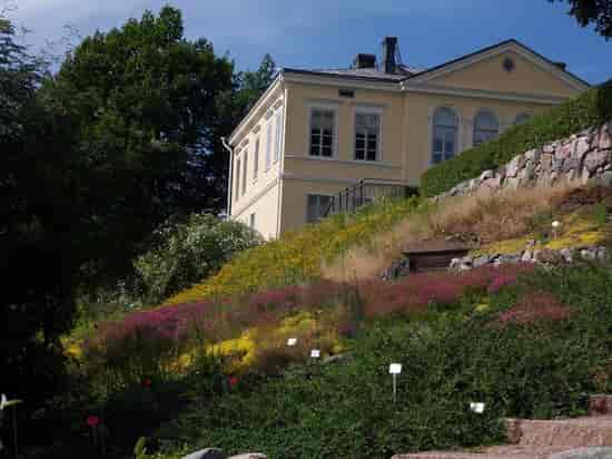 Botanic Garden in Kumpula: lush venue for corporate retreats and outdoor events.