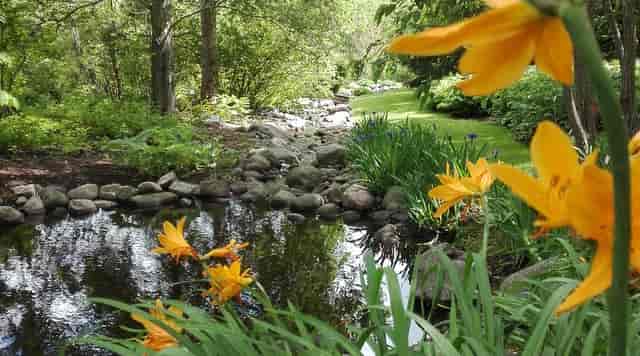 Serene Kumpula Botanic Garden with vibrant flowers, ideal for retreats and meetings.