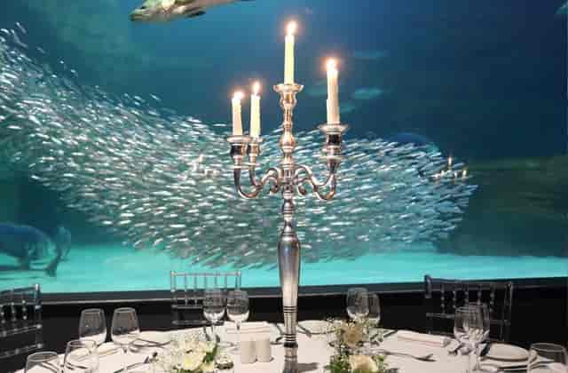 Two Oceans Aquarium | The Planner