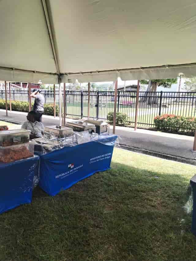 Cape Town Jazz Festival outdoor catering setup with covered trays for inviting guest dining.