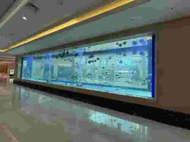 Breakout Area
