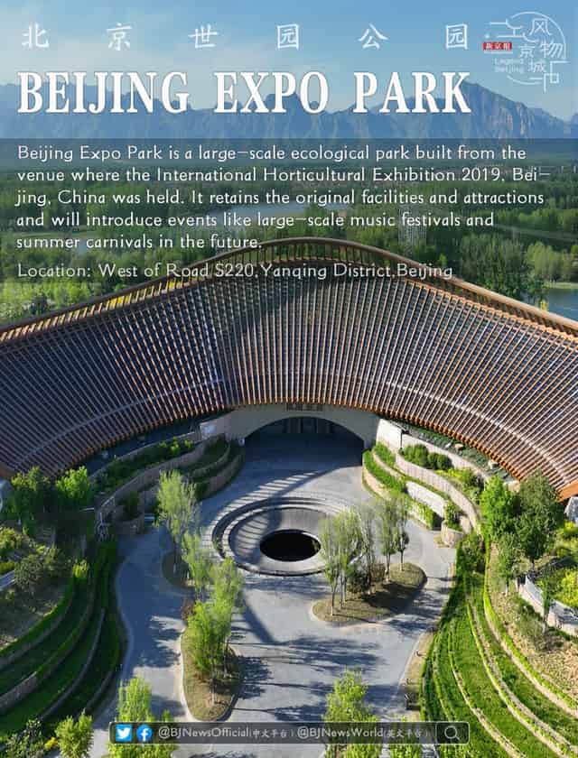 Main Exhibition Area