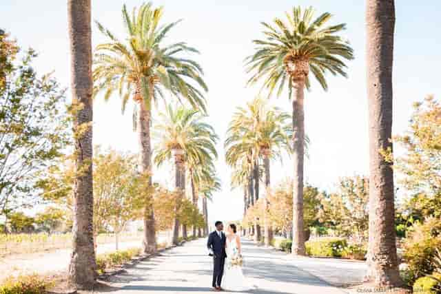 Palm Event Center in the Vineyard ...