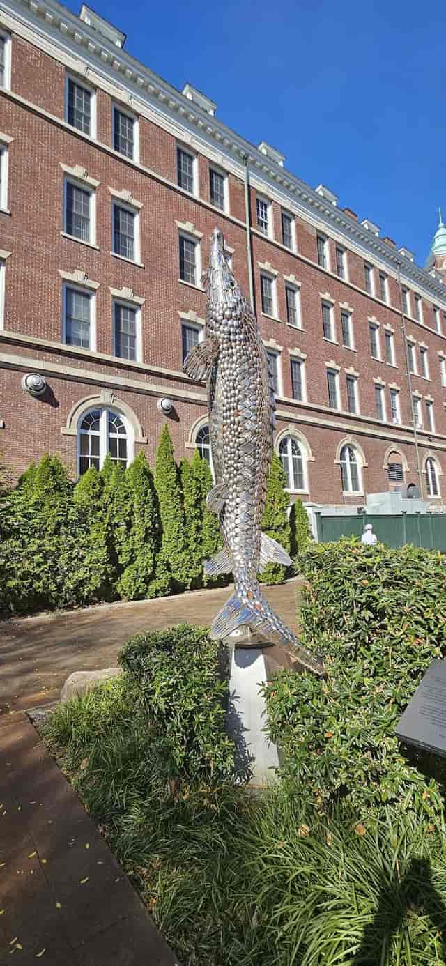 Sculpture of a fish at Culinary Institute of America for outdoor events and gatherings.