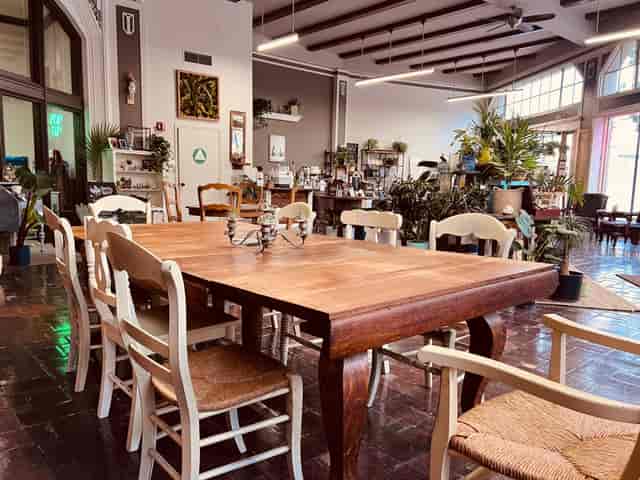 Intimate plant-filled meeting space with a rustic wooden table for creative events.