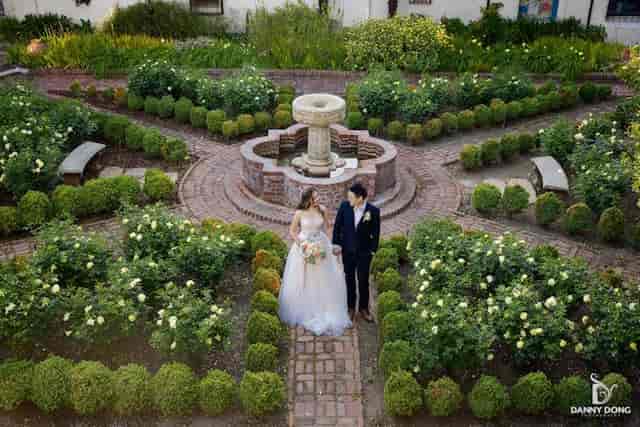 Serene garden with rose bushes and fountain, perfect for weddings and outdoor events.
