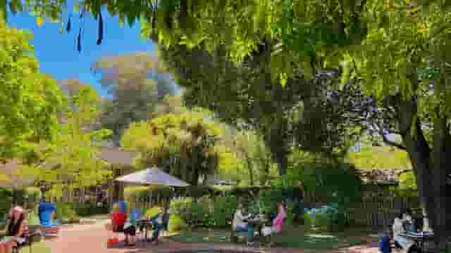 Café Wisteria