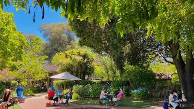 Café Wisteria