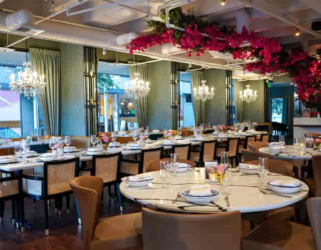 Main Dining Room at Osha Thai, elegant decor for upscale events and meetings.