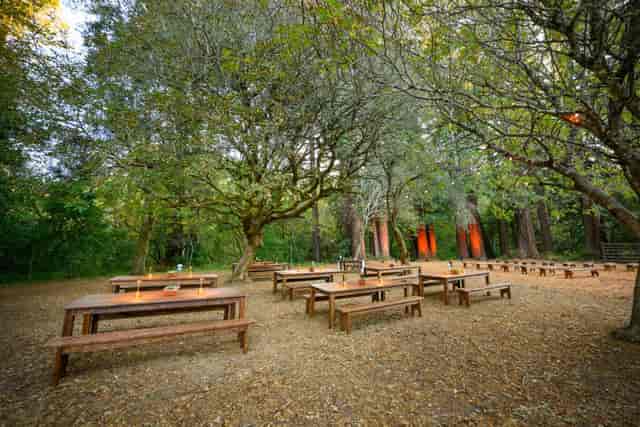 Outdoor event space at Redwood Grove, rustic tables, ideal for gatherings and team-building.