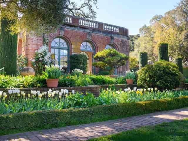 Redwood Grove at Filoli: charming outdoor venue for weddings and events with lush gardens.