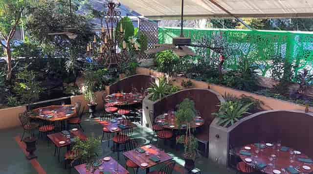 Outdoor dining at All Season Terrace, lush greenery, ideal for events and gatherings.