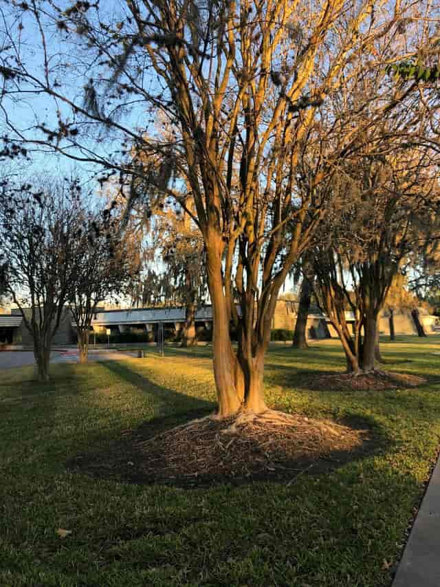 Houston Parks and Recreation Department - >Sarah Lo</a>