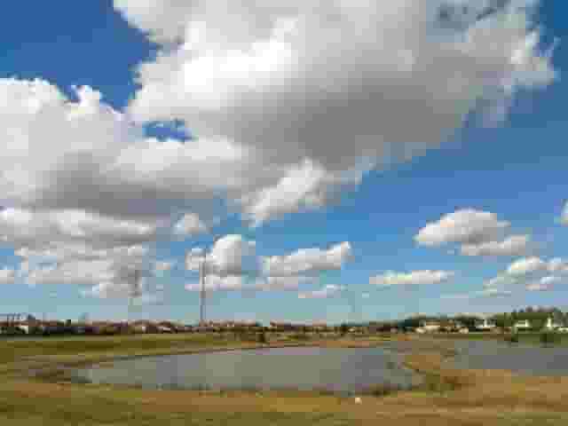 Little Meadow