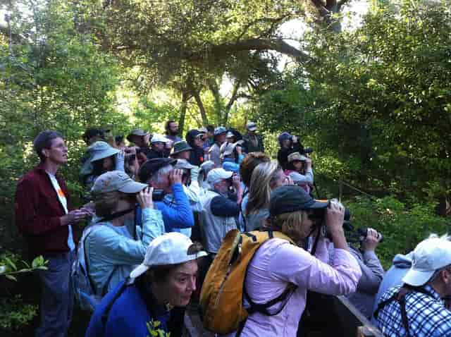 Diverse group with binoculars at Houston Audubon for birdwatching event.