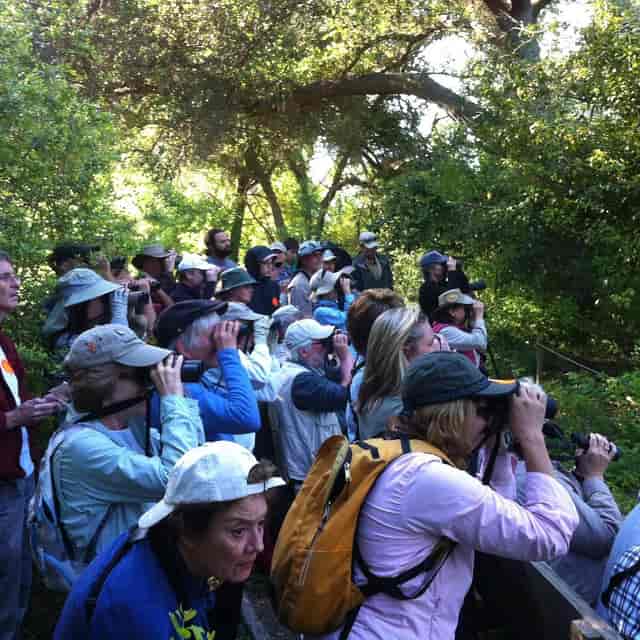 Nature watching event at Log Cabin, Houston Audubon with binoculars and attendee engagement.