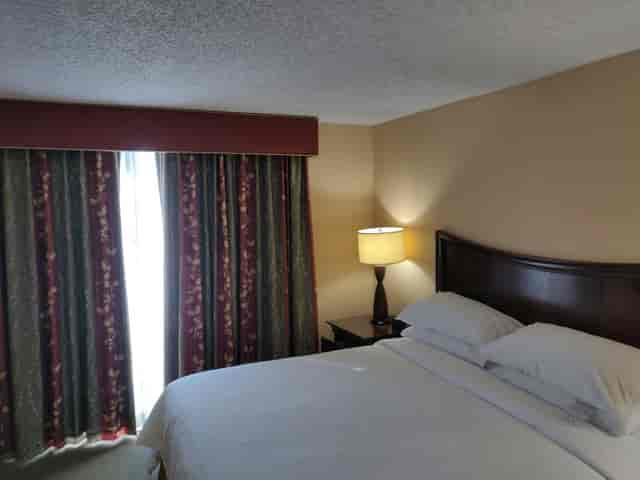 Cozy hotel room at Embassy Suites, perfect for conferences with natural light and comfort.