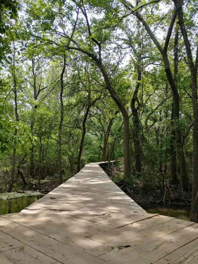 Hiking trails in Fort Worth Nature Center, ideal for team-building and outdoor retreats.