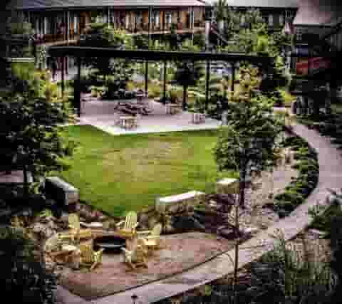 Lawn | Courtyard