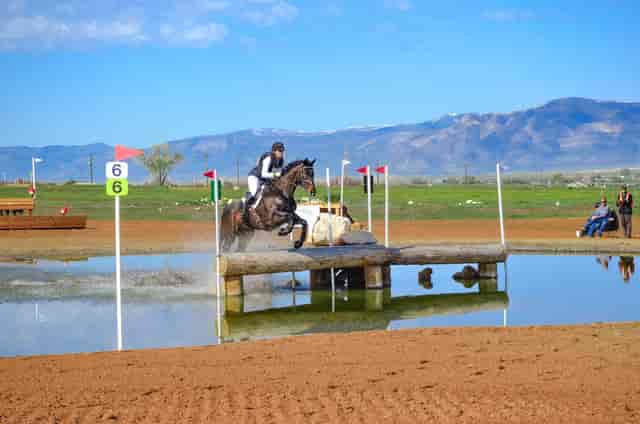 Horse and rider navigating water jump at Texas Rose Horse Park equestrian event.