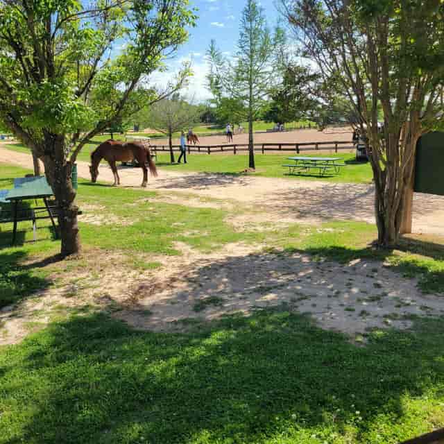 Cross Country Course at Texas Rose Horse Park, perfect for equestrian events and gatherings.