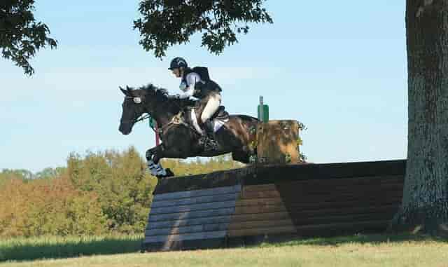 Equestrian rider navigating obstacle at Texas Rose Horse Park outdoor event.