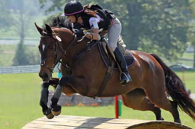 Outdoor show arenas