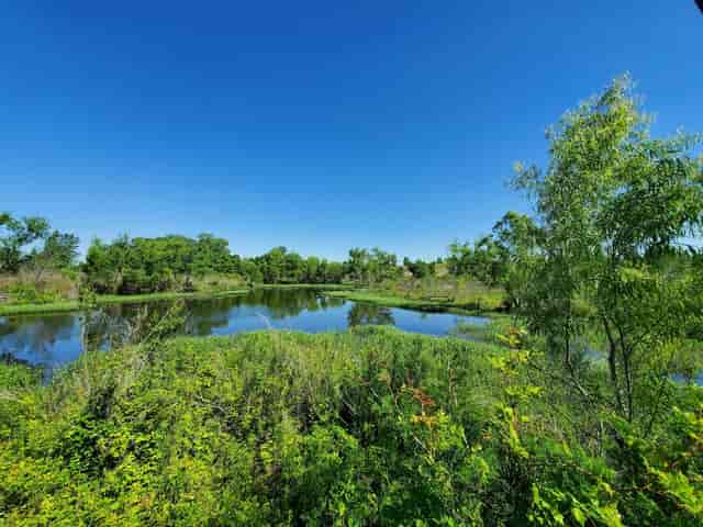 Trinity River Audubon Center's serene multi-purpose room, ideal for outdoor workshops and retreats.