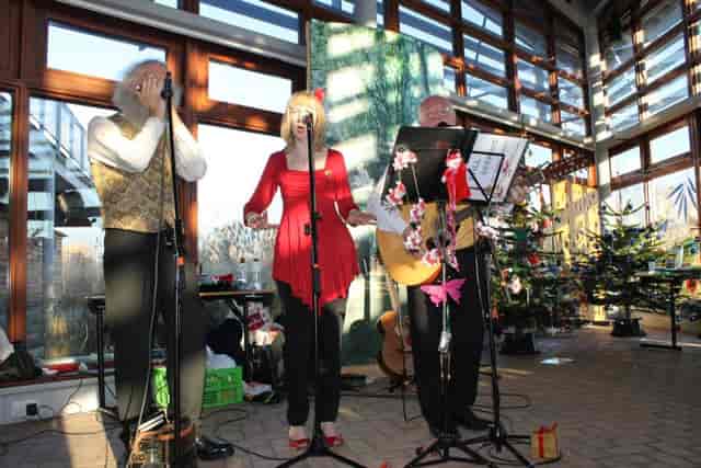Lakeside View Room with musicians, perfect for holiday gatherings and corporate events.