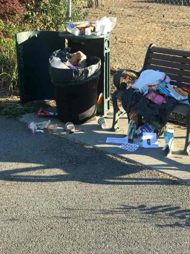Picnic site in San José park littered with trash, emphasizing waste management for events