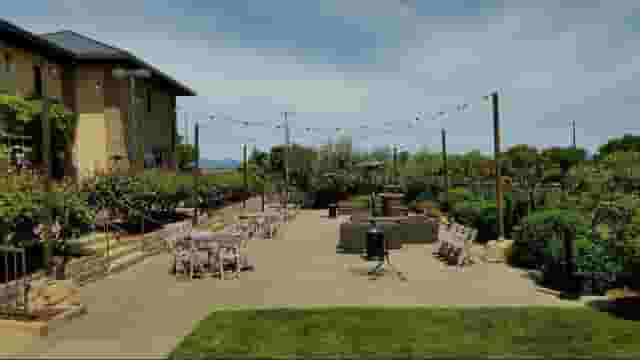 Vineyard Terrace