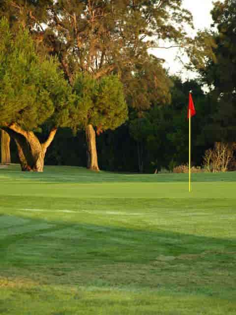 Sunnyvale Municipal Golf Course driving range with manicured greens, perfect for corporate retreats.