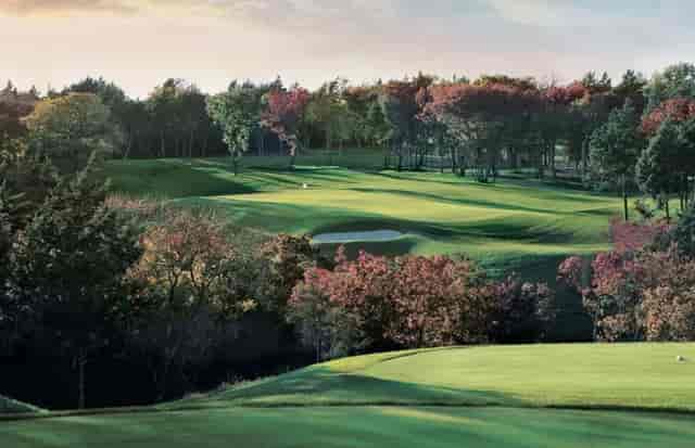 Stunning Dallas Country Club golf course with vibrant autumn foliage for outdoor events.
