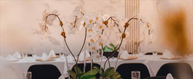 Tulipe Lounge