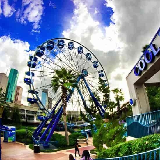 Houston City Tour and Downtown Aquarium ...