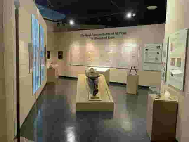 Exhibit Space