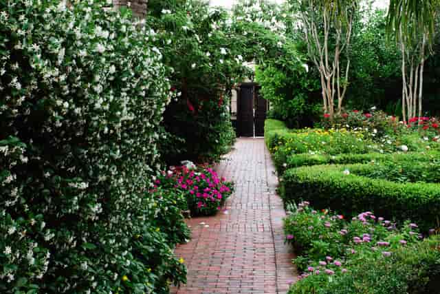 Cloister Room garden pathway, ideal for weddings and corporate retreats.