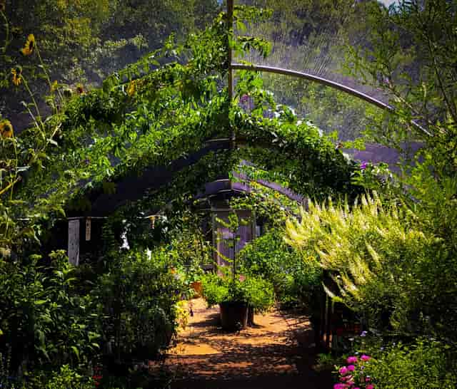 Butterfly House at Texas Discovery Gardens, ideal for wellness retreats and team-building events.