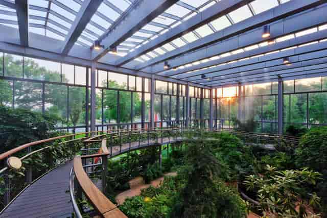 Grand Hall at Texas Discovery Gardens, lush indoor venue for creative events and meetings.