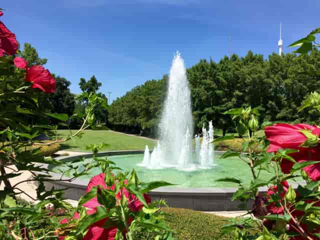 Texas Discovery Gardens