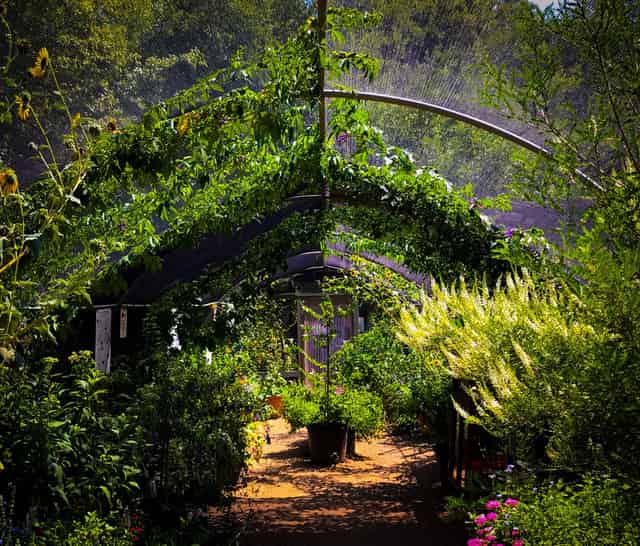 Butterfly House
